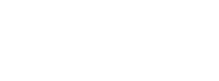 Salt Logo